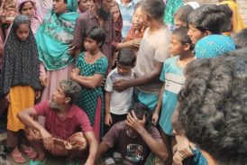 কালিগঞ্জে পুকুরে ডুবে দুই শিশুর মৃ* ত্যু