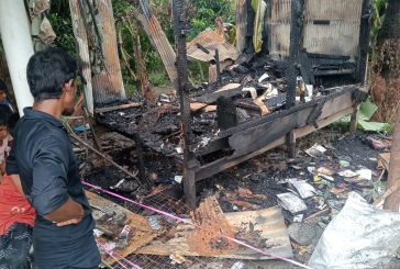 আশাশুনির প্রতাপনগরে অগ্নিকান্ড; ৬ লাখ টাকার মালামাল পুড়ে ছাই