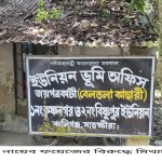 কালিগঞ্জে নায়েব ফয়েজের বিরুদ্ধে মিথ্যাচার করার অভিযোগ