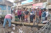 আশাশুনি বাজারে পল্লী বিদ্যুতের খাম্বা ভেঙে ইজিবাইক ও হোটেল ক্ষতিগ্রস্ত