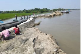 আশাশুনির প্রতাপনগরে ভাঙ্গন কবলিত ওয়াবদা বেড়িবাঁধ শঙ্কামুক্ত,কাজ শেষ হতে লাগবে সাত দিন