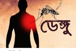 ২৪ ঘণ্টায় ডেঙ্গুতে আরও ৫ জনের মৃত্যু