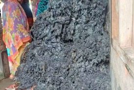 কালিগঞ্জে বাড়ির বারান্দায় রাখা মাছ ধরার জালে আগুন ৫ লাখ টাকার ক্ষতির দাবি