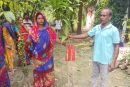 আশাশুনিতে প্রান্তিক কৃষকদের মাঝে গাছের চারা বিতরণ