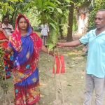 আশাশুনিতে প্রান্তিক কৃষকদের মাঝে গাছের চারা বিতরণ