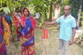 আশাশুনিতে প্রান্তিক কৃষকদের মাঝে গাছের চারা বিতরণ