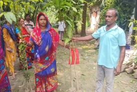 আশাশুনিতে প্রান্তিক কৃষকদের মাঝে গাছের চারা বিতরণ