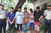 কলারোয়ায় ভ্রম্যমাণ আদালতে ইয়াবাসহ ৫ জনের কারাদণ্ড ও জরিমানা