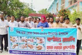 কালিগঞ্জে বিশ্ব হাত ধোয়া দিবস পালিত
