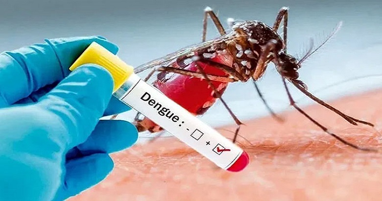 ডেঙ্গুতে মৃত্যু ৪, হাসপাতালে ভর্তি ১৮৫১