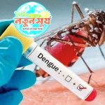 ডেঙ্গুতে এক দিনে মৃত্যু: ১১ , চলতি বছরে মৃতের সংখ্যা ৪০০