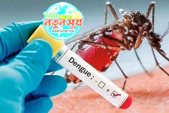 ডেঙ্গুতে এক দিনে মৃত্যু: ১১ , চলতি বছরে মৃতের সংখ্যা ৪০০